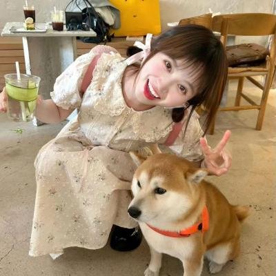 天使的坠落